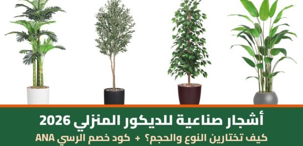 أشجار صناعية للديكور المنزلي من الرسي مع كود خصم الرسي ANA